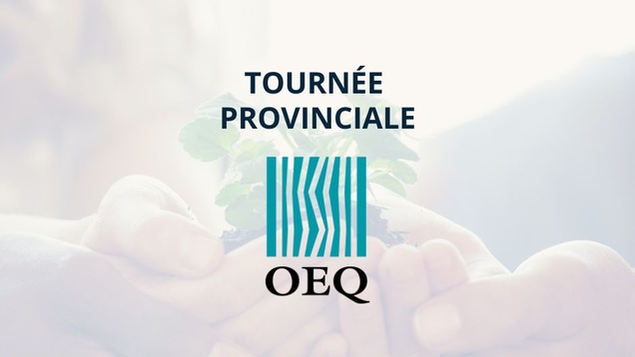 L'Ordre des ergothérapeutes du Québec chez Intergo!
