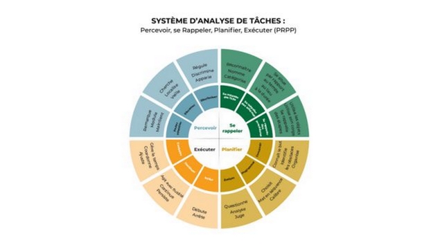 Formation à l'évaluation PRPP : Notre chef de pratique en ergothérapie maintenant formée!